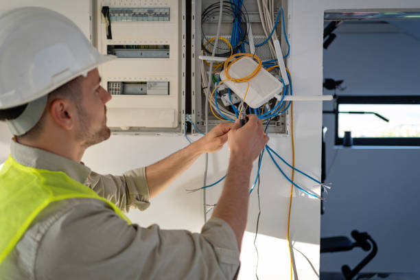 Best Electric Panel Repair  in Schererville, IN